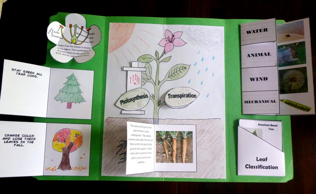 Theme of black beauty image