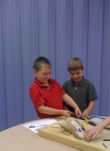 Exploring the African animals skulls from the York County Museum