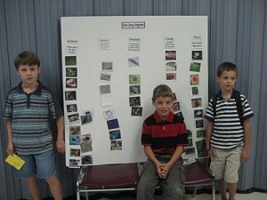 Fun Learning the Animal Kingdoms