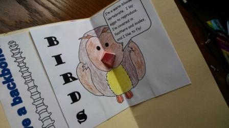 Catholic Schoolhouse Animals Lapbook Part 4