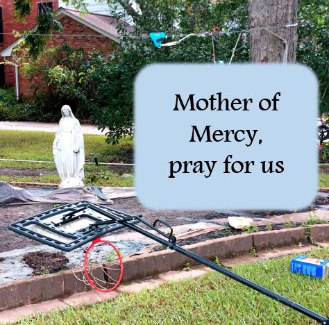 Our CSH Families in Texas- Harvey aftermath update