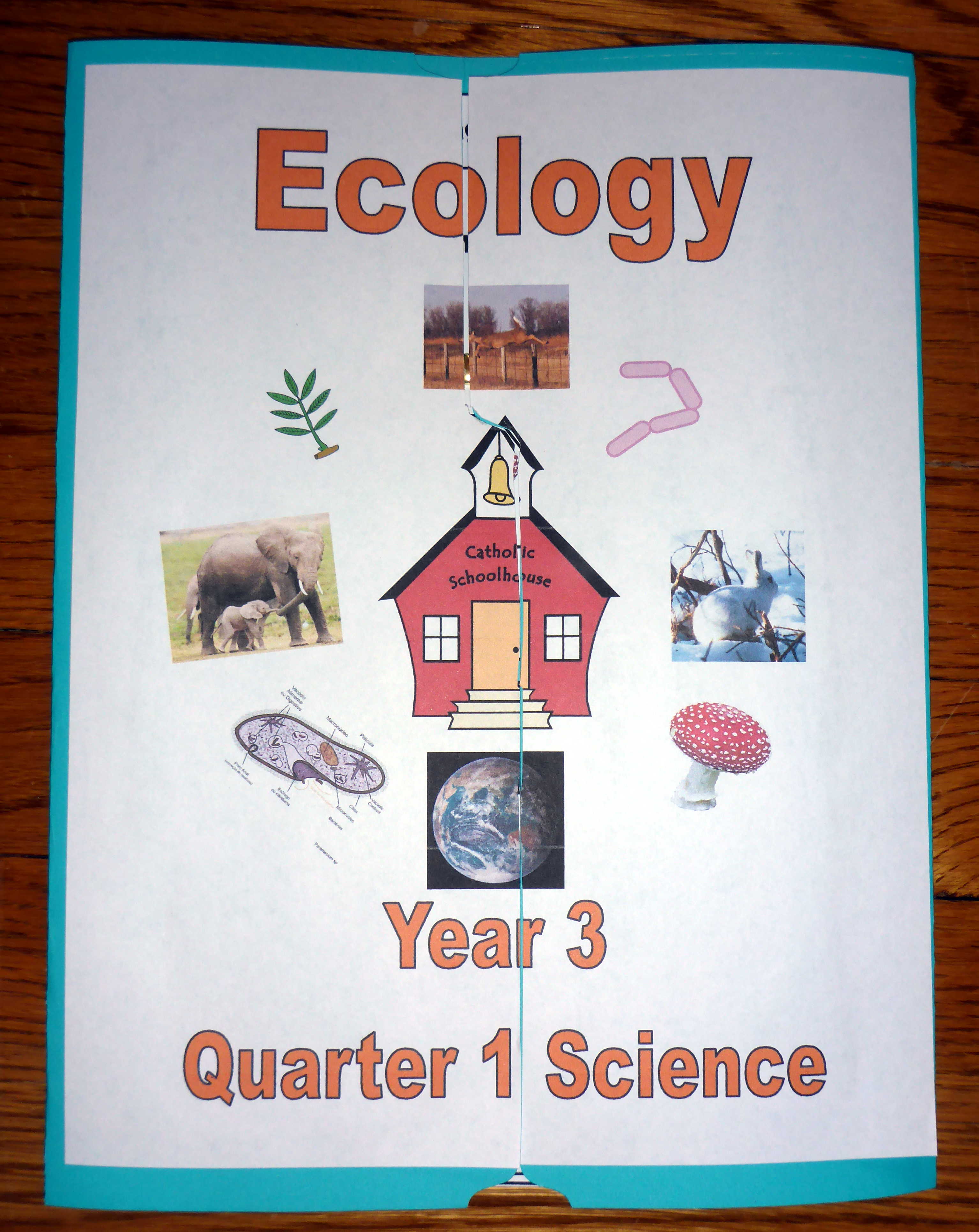 Ecology Lapbook